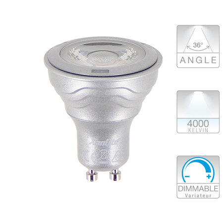 LAMP SPOT 345 LM (=50W) GU10 / 36° / 4000K / DIMBAAR